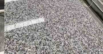 株洲 芙蓉白光面