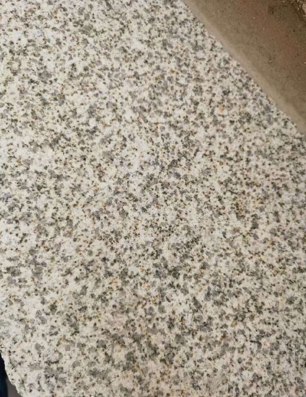 株洲 黄金麻中黄光面