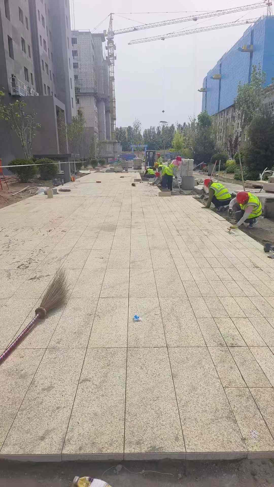 株洲黄金麻荔枝面地铺案例